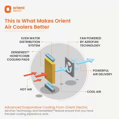 Orient Electric 40 L Room/Personal Air Cooler  (White, Aerocool 40)